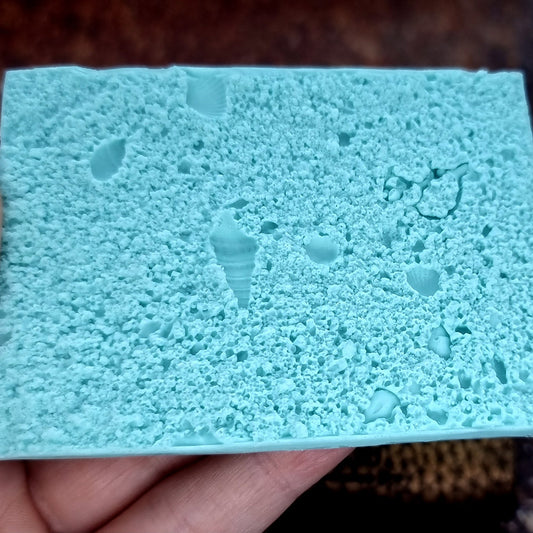 Silicone Texture - Real Sand and Shells on the Beach