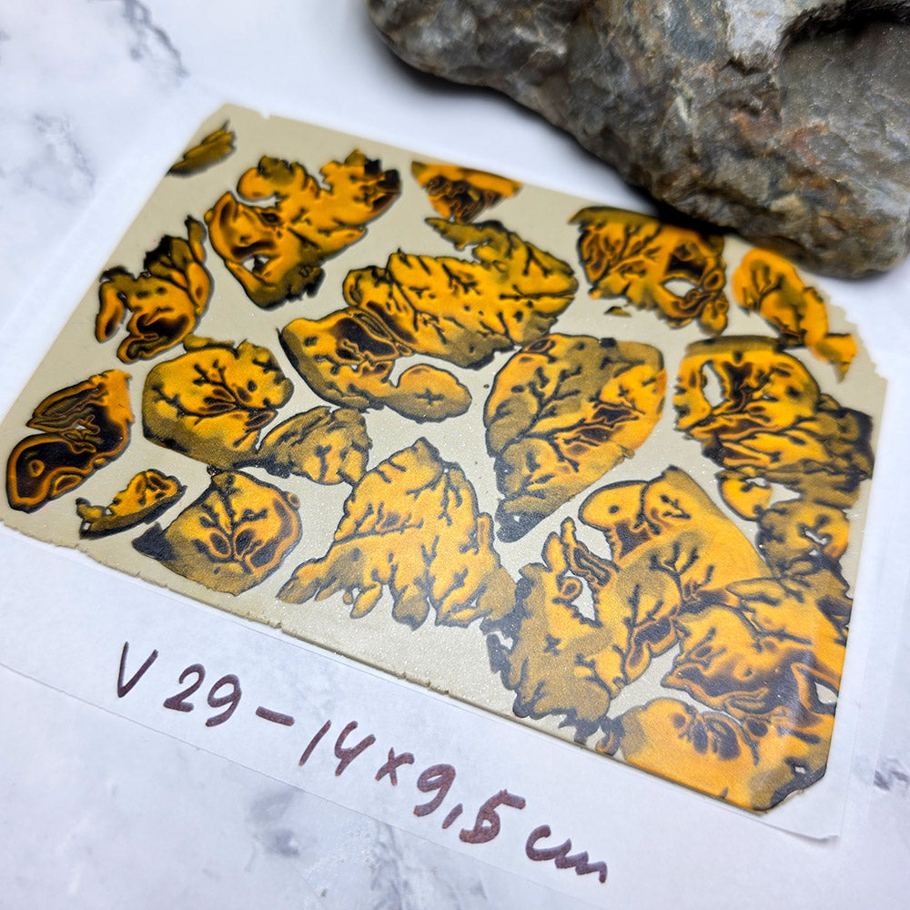 Raw polymer clay veneer sheet, Autumn Forest Leaves