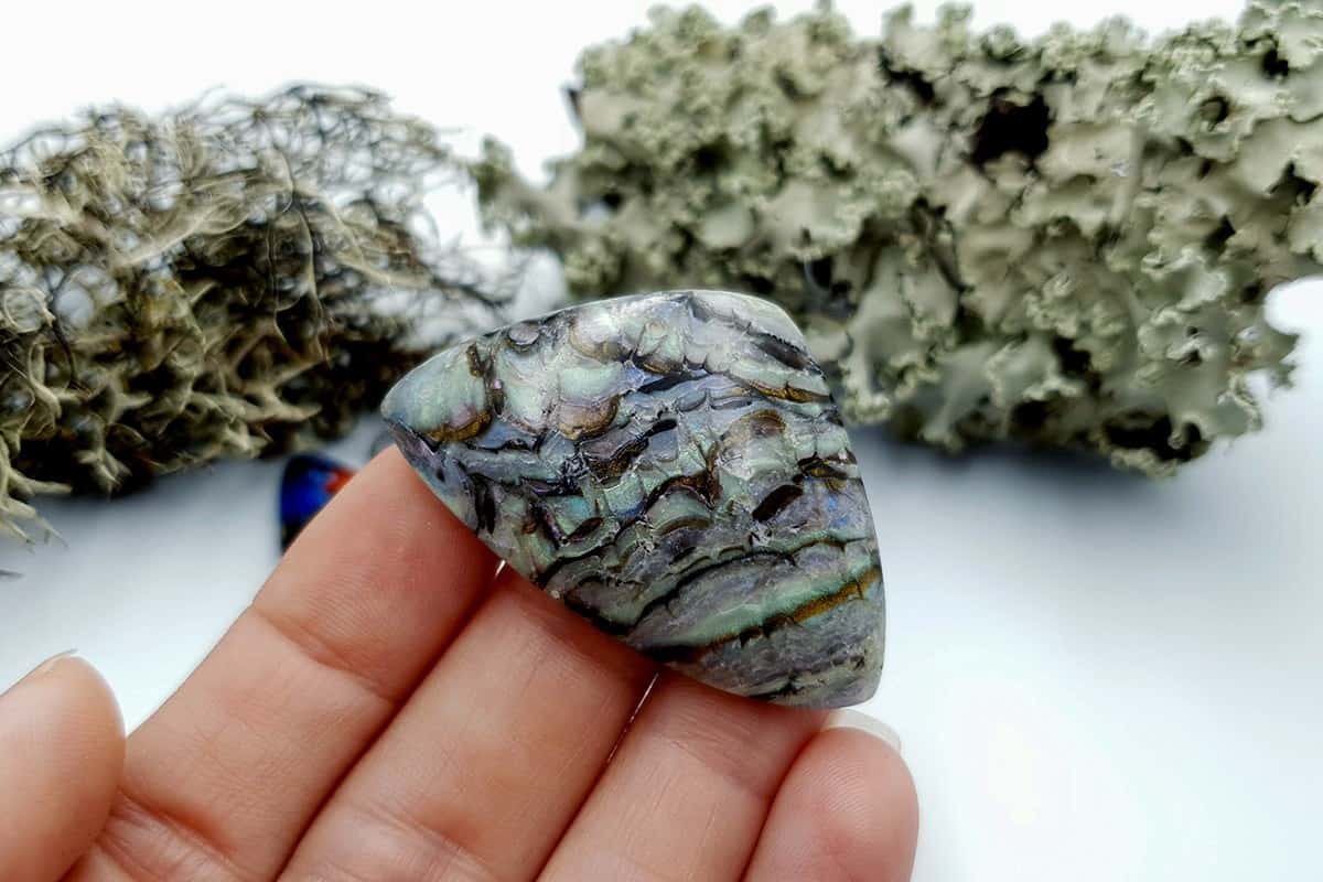 3 pcs Labradorite Pietersite Stone Mix (Set #6) Cabochons SweetyBijou Cabochons