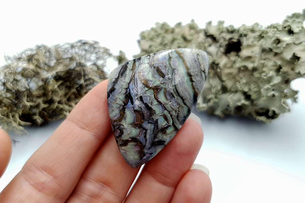 3 pcs Labradorite Pietersite Stone Mix (Set #6) Cabochons SweetyBijou Cabochons
