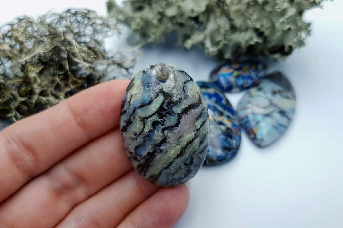 4 pcs Labradorite Pietersite Stone Mix (Set #11) Cabochons SweetyBijou Cabochons