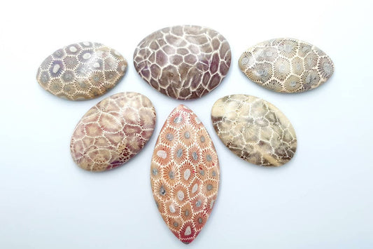 6 cabochons Faux Petoskey Stone from Polymer Clay Cabochons SweetyBijou Cabochons