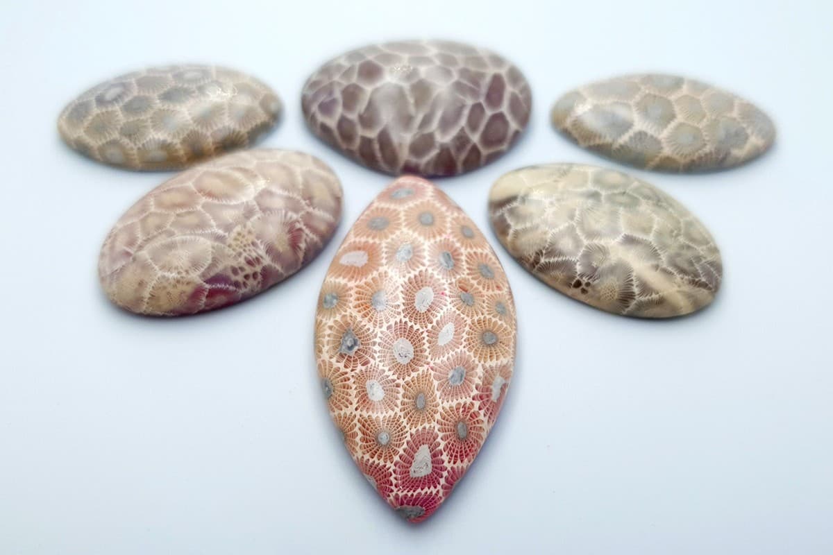 6 cabochons Faux Petoskey Stone from Polymer Clay Cabochons SweetyBijou Cabochons