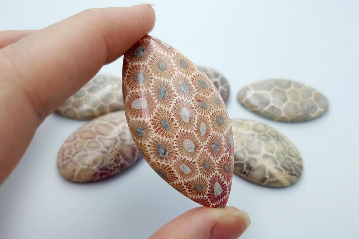 6 cabochons Faux Petoskey Stone from Polymer Clay Cabochons SweetyBijou Cabochons