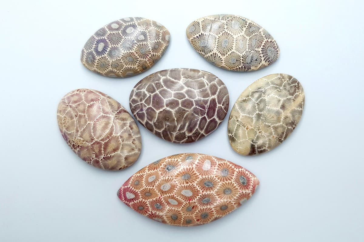 6 cabochons Faux Petoskey Stone from Polymer Clay Cabochons SweetyBijou Cabochons