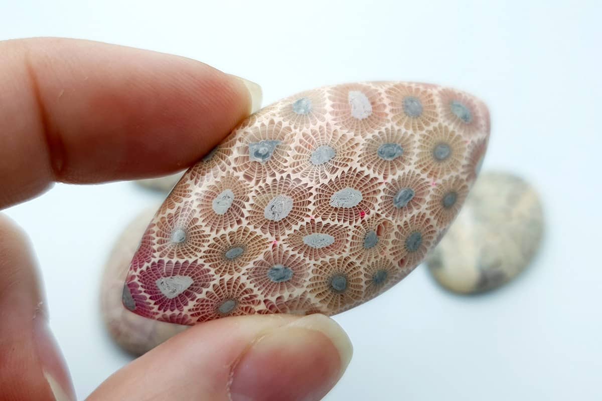 6 cabochons Faux Petoskey Stone from Polymer Clay Cabochons SweetyBijou Cabochons