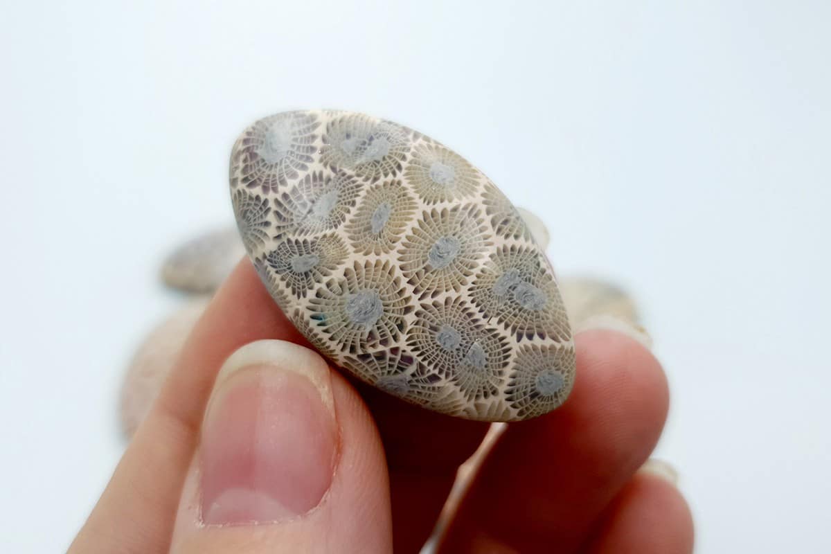 6 cabochons Faux Petoskey Stone from Polymer Clay Cabochons SweetyBijou Cabochons