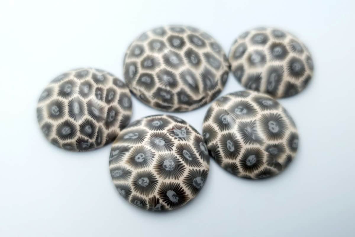 5 cabochons faux petoskey stones from polymer clay Cabochons SweetyBijou Cabochons