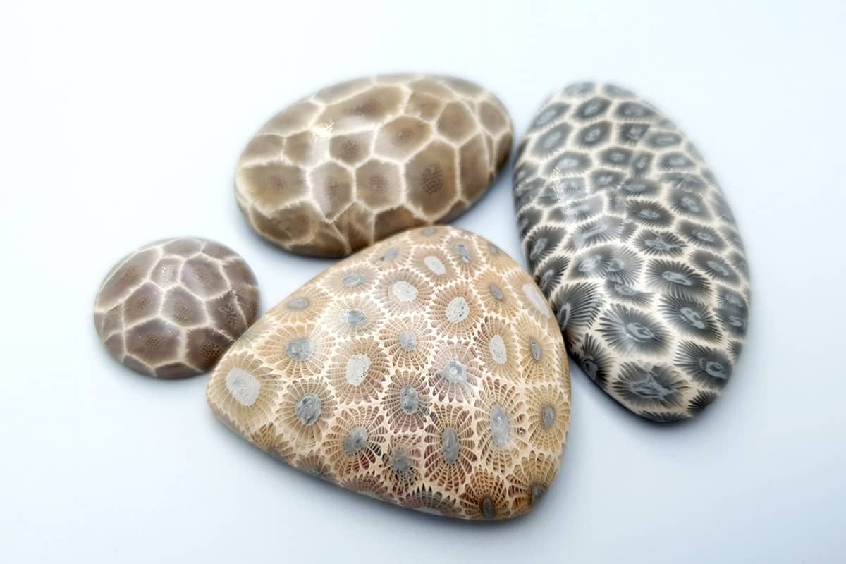 4 cabochons Faux Petoskey Stone from Polymer Clay Cabochons SweetyBijou Cabochons