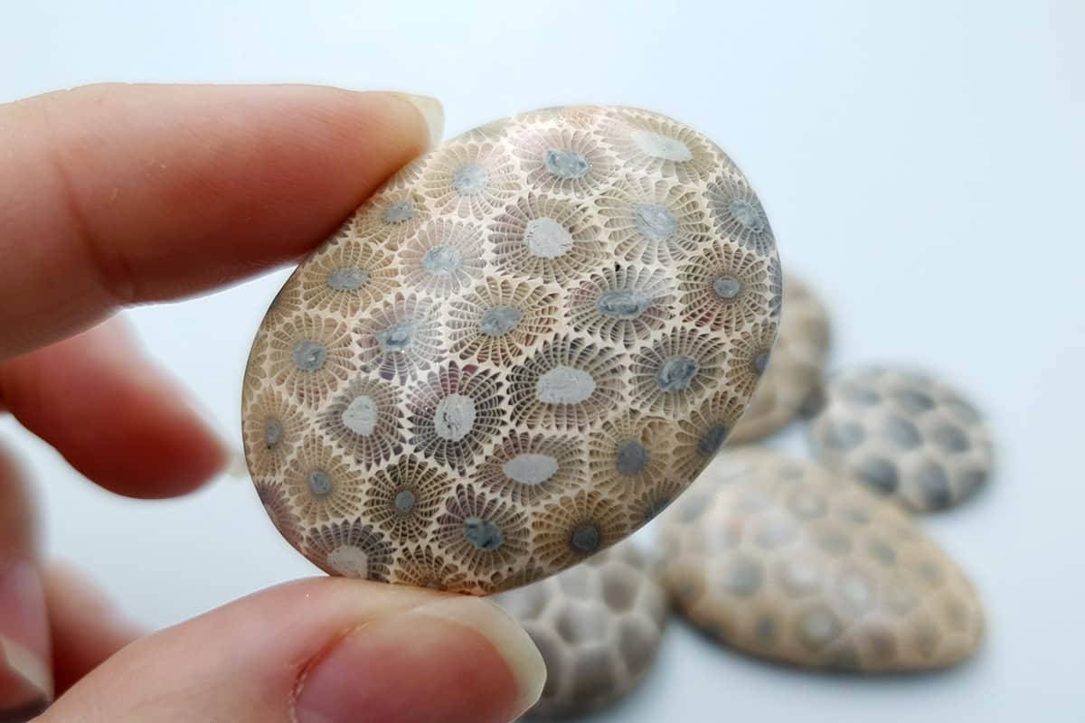 5 cabochons, Faux Petoskey Stone, Polymer Clay (#1) Cabochons SweetyBijou Cabochons