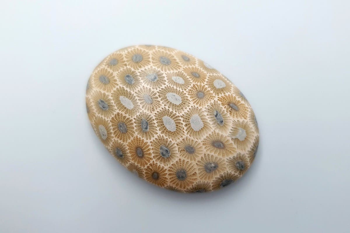 Cabochons Faux Petoskey Stone from Polymer Clay #7 Cabochons SweetyBijou Cabochons Default Title