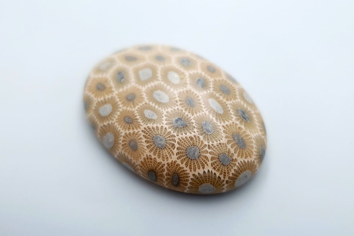 Cabochons Faux Petoskey Stone from Polymer Clay #7 Cabochons SweetyBijou Cabochons
