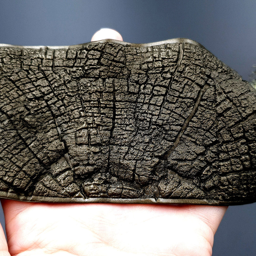 Silicone Texture - Cracked Wood #2