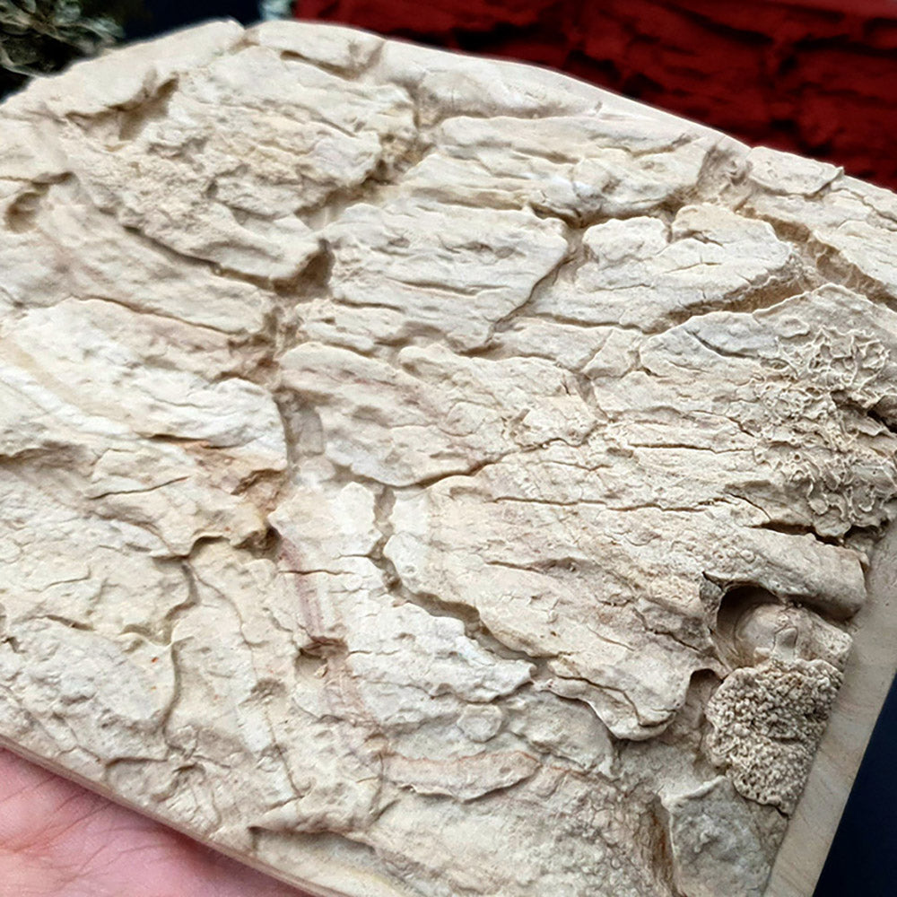 Silicone Texture - Old Tree Bark