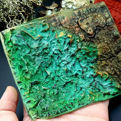 Silicone Texture - Forest Lichens
