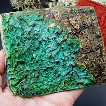 Silicone Texture - Forest Lichens