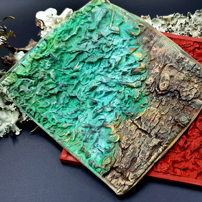 Silicone Texture - Forest Lichens