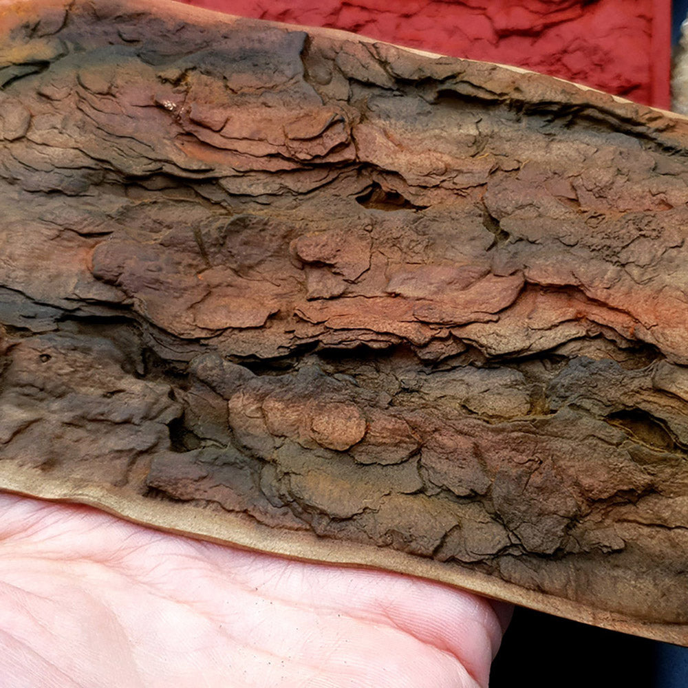 Silicone Texture - Pine Tree Bark