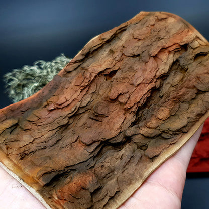 Silicone Texture - Pine Tree Bark
