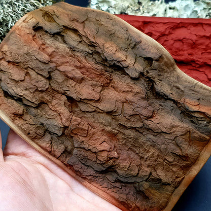 Silicone Texture - Pine Tree Bark