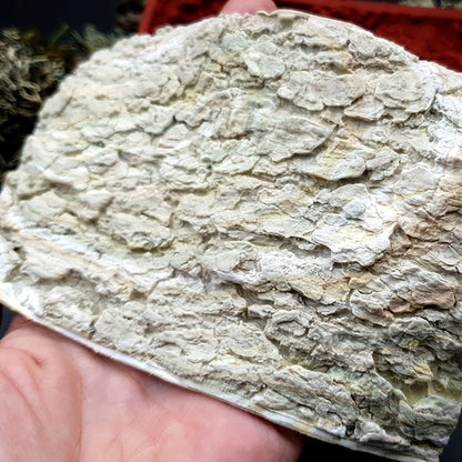 Silicone Texture - Tree Bark #1