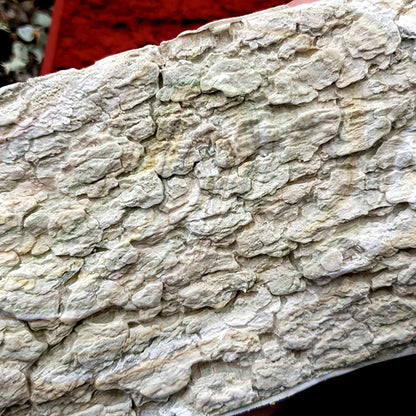 Silicone Texture - Tree Bark #1