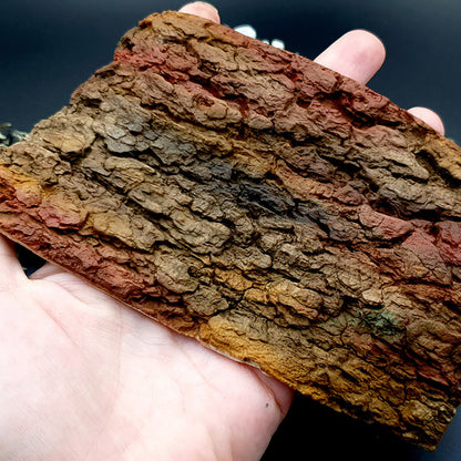 Silicone Texture - Tree Bark #1