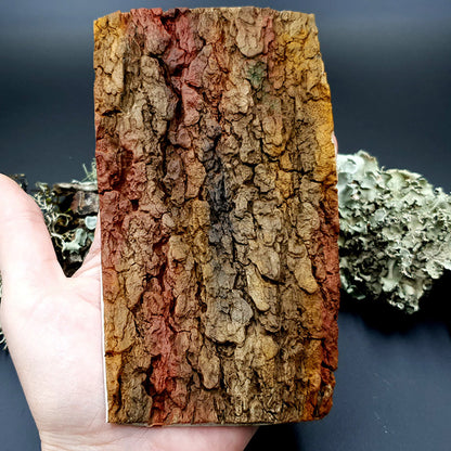 Silicone Texture - Tree Bark #1