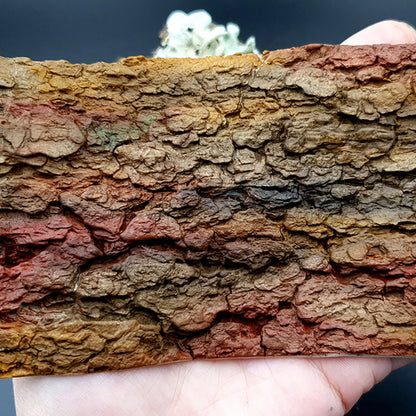Silicone Texture - Tree Bark #1