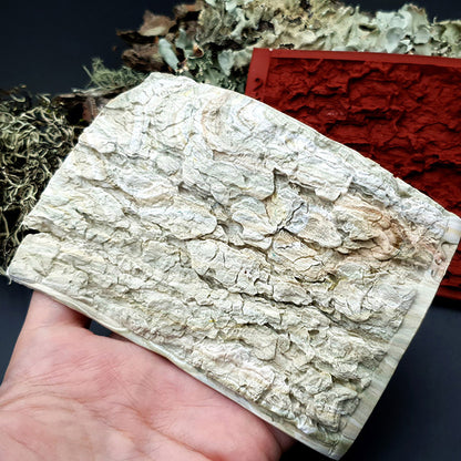 Silicone Texture - Tree Bark #2