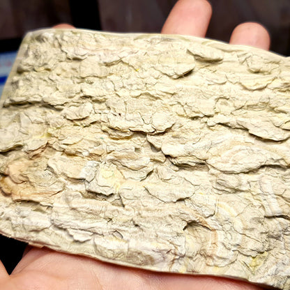 Silicone Texture - Tree Bark #2