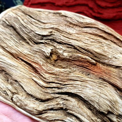 Silicone Texture - Drift Wood #1