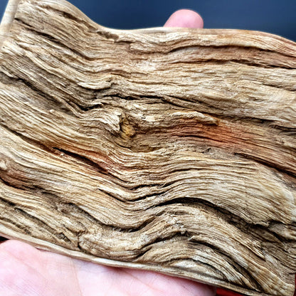 Silicone Texture - Drift Wood #1