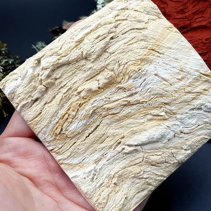 Silicone Texture - Drift Wood #2
