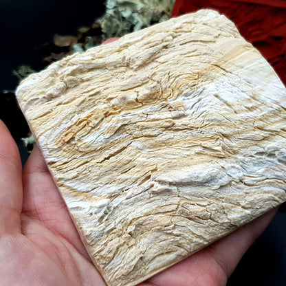 Silicone Texture - Drift Wood #2