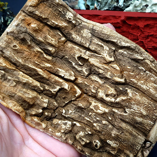 Silicone Texture - Drift Wood #3