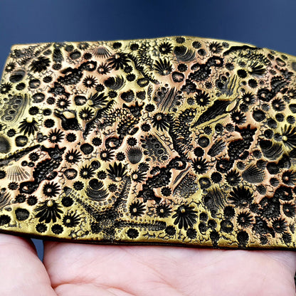 Silicone Texture - IN Ocean Floor