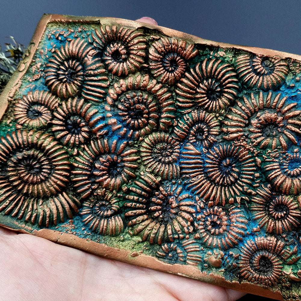 Silicone Texture - Ammonites