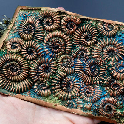 Silicone Texture - Ammonites