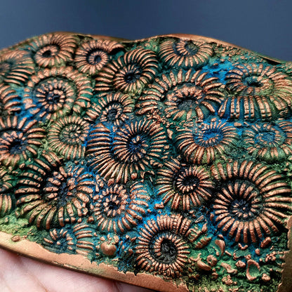 Silicone Texture - Ammonites