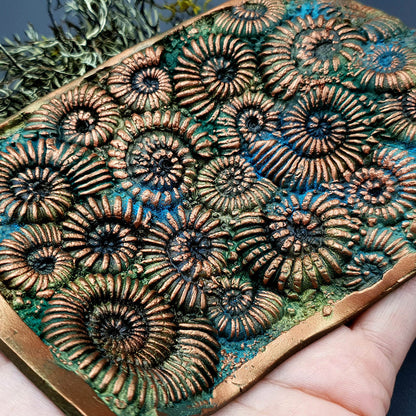 Silicone Texture - Ammonites