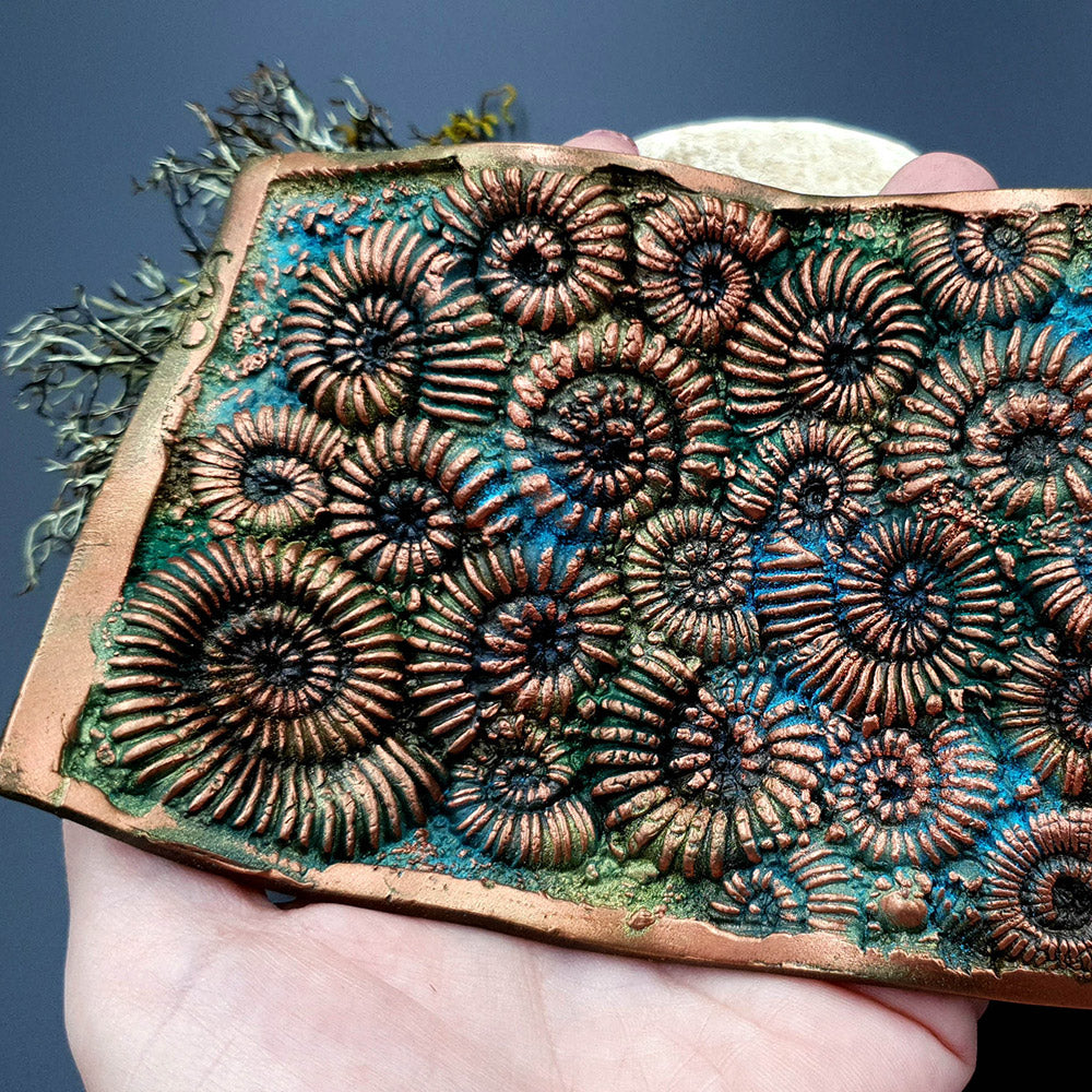 Silicone Texture - Ammonites