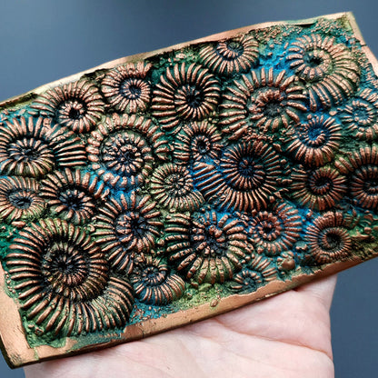 Silicone Texture - Ammonites