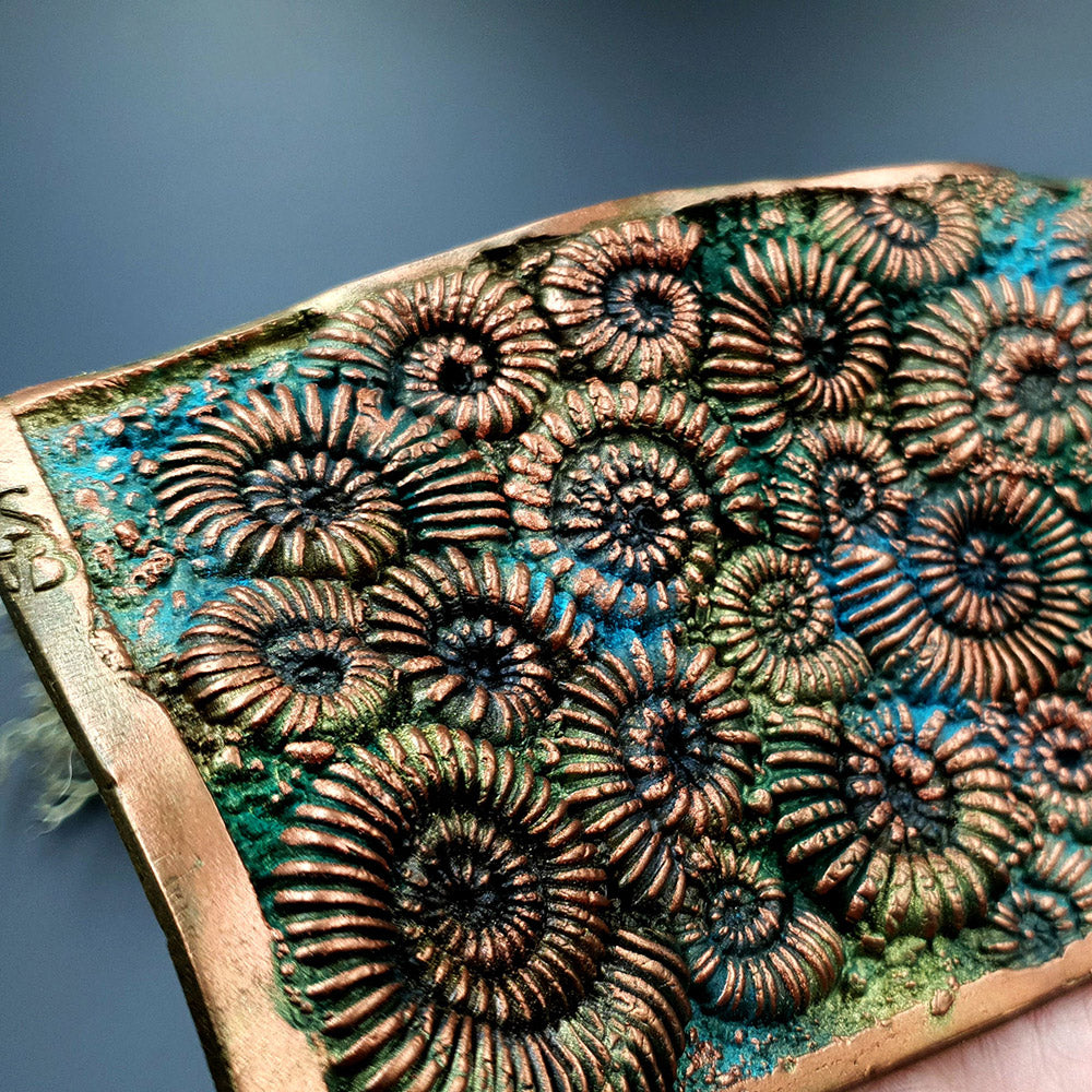 Silicone Texture - Ammonites