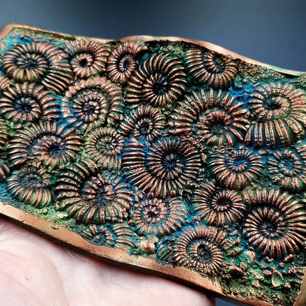 Silicone Texture - Ammonites