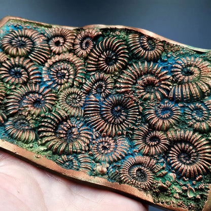 Silicone Texture - Ammonites