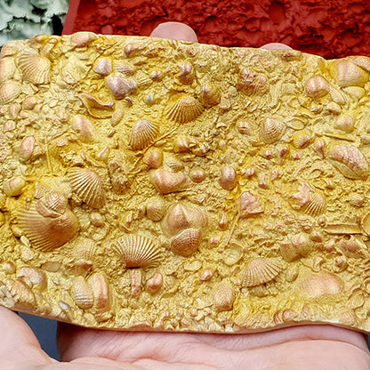 Silicone Texture - The Sea Bottom 2