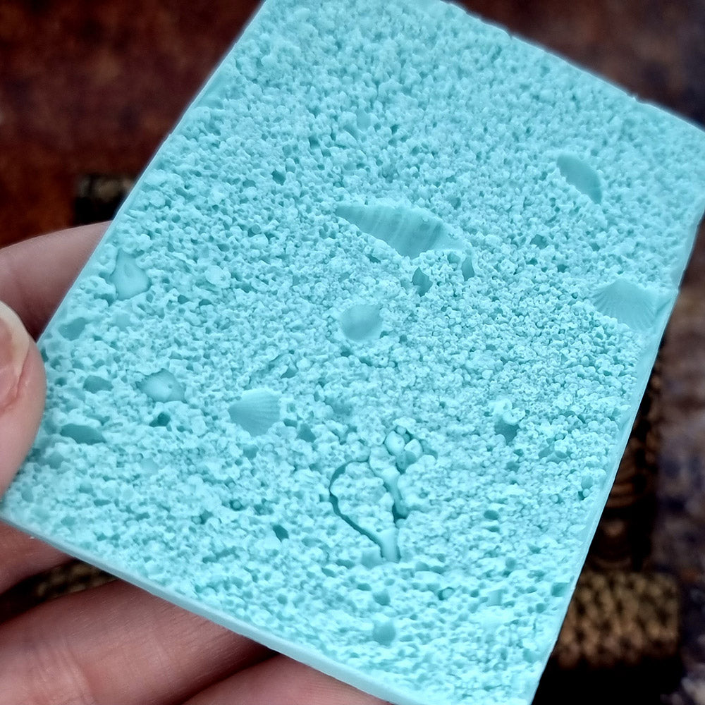 Silicone Texture - Real Sand and Shells on the Beach