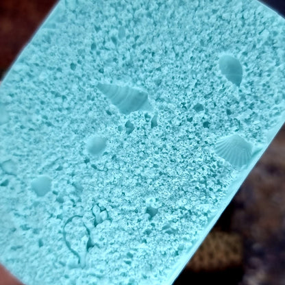 Silicone Texture - Real Sand and Shells on the Beach