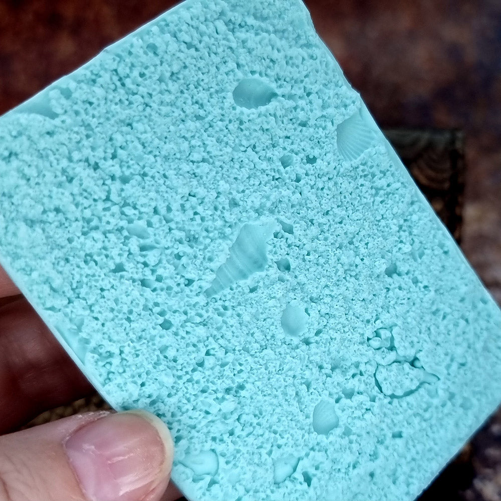 Silicone Texture - Real Sand and Shells on the Beach